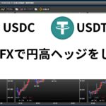 USDCとUSDTをDMMFXで為替ヘッジ